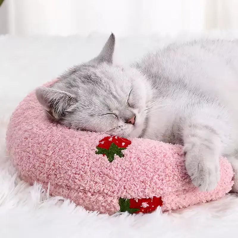 Purrpaws